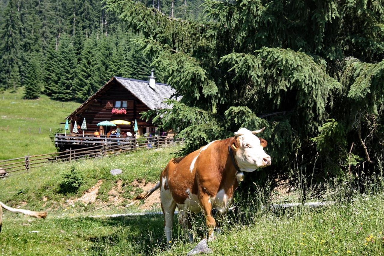 Chalet 164 Bad Goisern Exterior photo